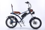 2000W peak power electric bike 31MPH 48V 20.8Ah, 20'' fat tire commuting E-BIKE For adult
