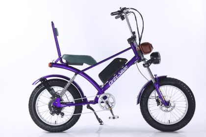 2000W peak power electric bike 31MPH 48V 20.8Ah, 20'' fat tire commuting E-BIKE For adult (Color: blue seat)