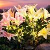 Solar Garden Lights, 2 Pack LED Lily Garden Decor Carefree Solar Flowers Outdoor Waterproof, Yard Decorations Outdoor