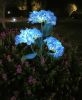 4-piece set of outdoor solar courtyard lights - larger and more realistic embroidered ball flower lights