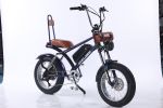 2000W peak power electric bike 31MPH 48V 20.8Ah, 20'' fat tire commuting E-BIKE For adult