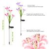 2Pcs Solar Garden Lights Outdoor Lily Flower LED Light 7-Color Changing IP65 Waterproof Pathway Stake Lights Patio Decorative for Garden Patio Yard Wa