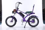 2000W peak power electric bike 31MPH 48V 20.8Ah, 20'' fat tire commuting E-BIKE For adult