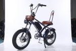 2000W peak power electric bike 31MPH 48V 20.8Ah, 20'' fat tire commuting E-BIKE For adult