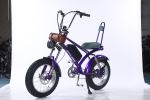 2000W peak power electric bike 31MPH 48V 20.8Ah, 20'' fat tire commuting E-BIKE For adult